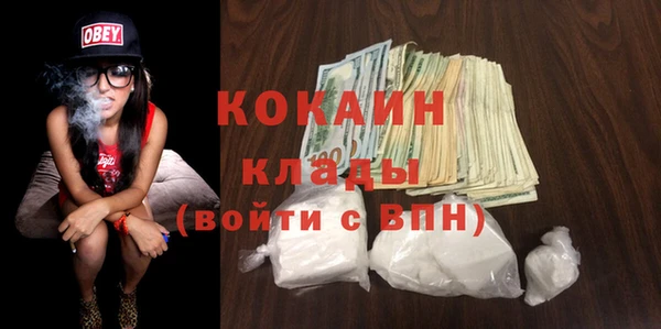 шишки Волоколамск