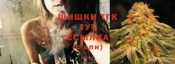 шишки Волоколамск