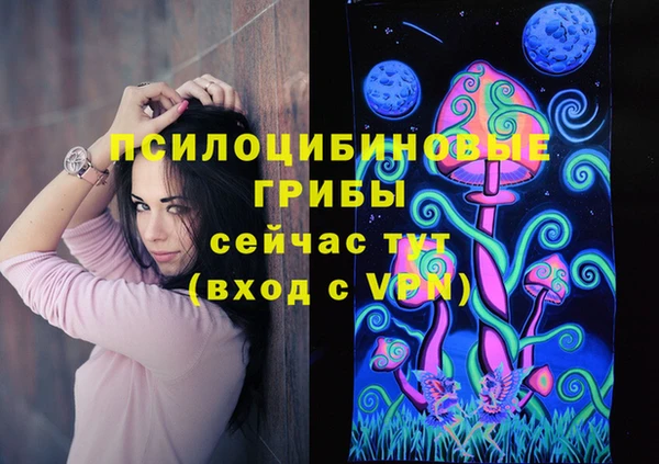 шишки Волоколамск